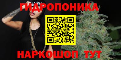 наркотики Абакан