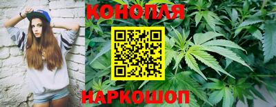 молекула духа Гусев